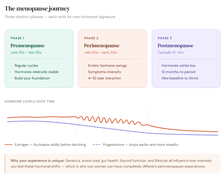 Hormone Cascade