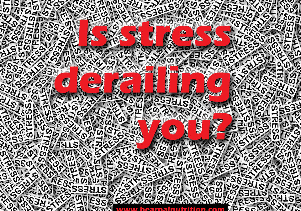 Is Stress Derailing Your Results?